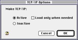 Bild der TCP/IP Optionen